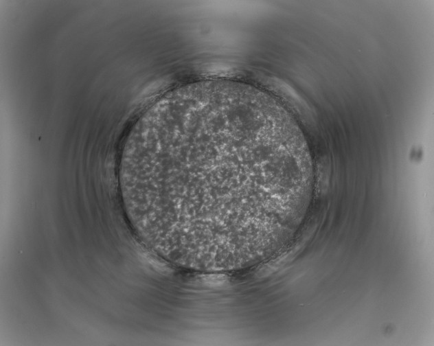 X0000094440377200711291642