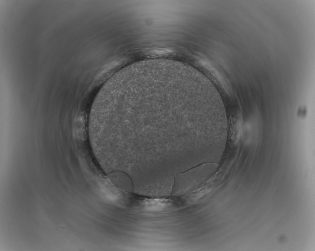 X0000094440378200711291642