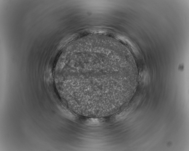 X0000094440381200711291642