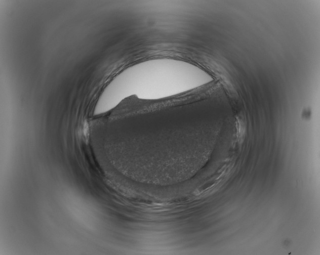 X0000094440382200711291642