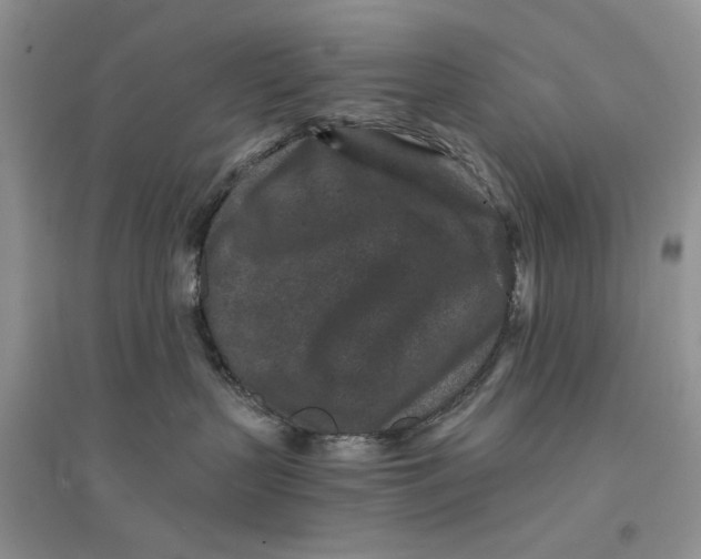 X0000094440383200711291642