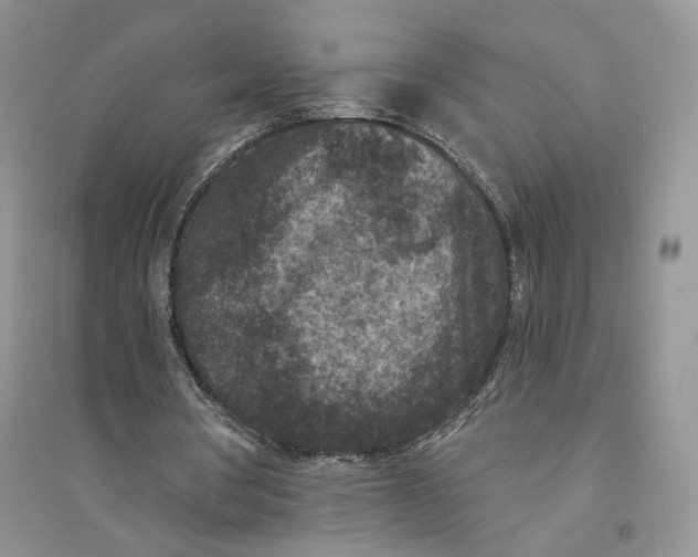 X0000094440386200711291641