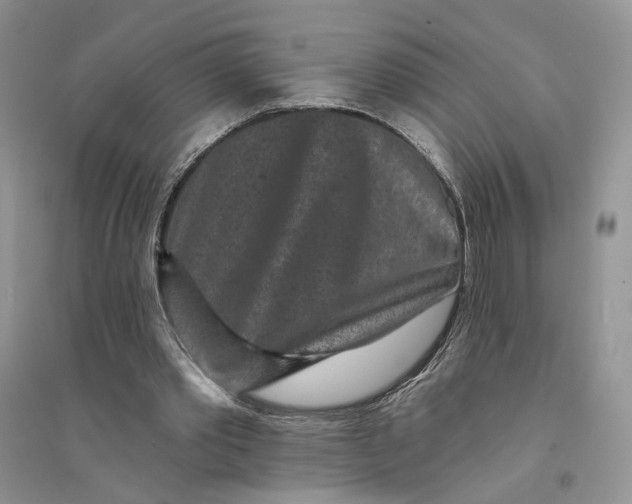 X0000094440389200711291641