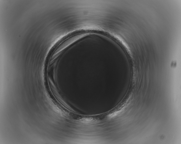 X0000094440391200711291641