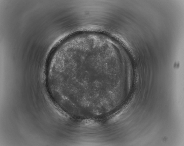 X0000094440392200711291641