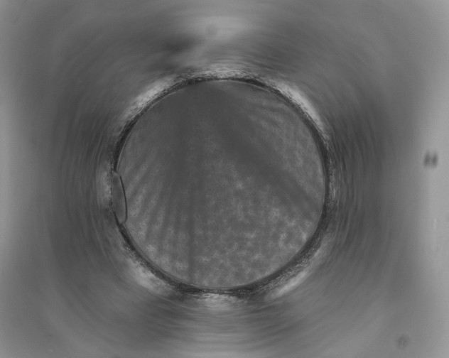 X0000094440393200711291641