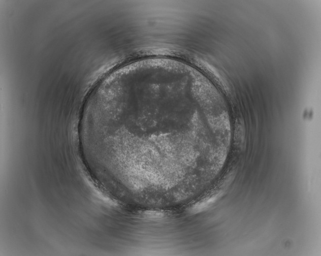 X0000094440394200711291641