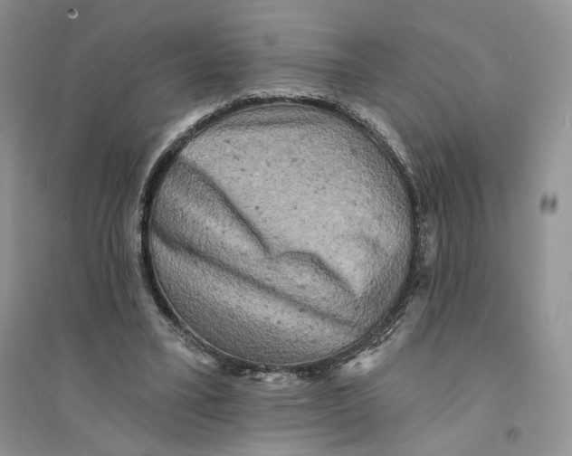 X0000094440395200711291641