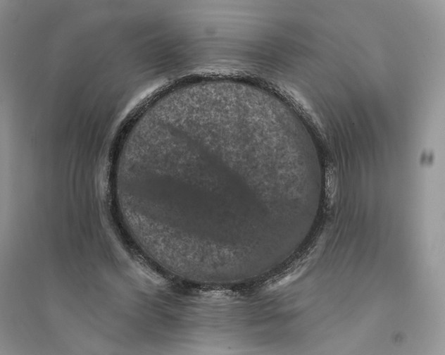 X0000094440396200711291641