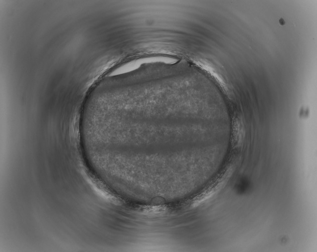 X0000094440398200711291641