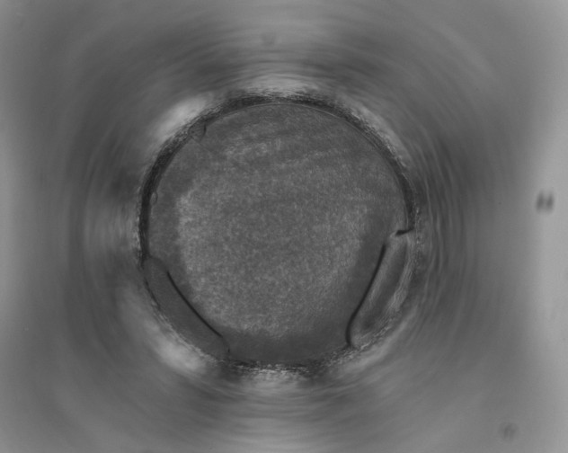 X0000094440399200711291641