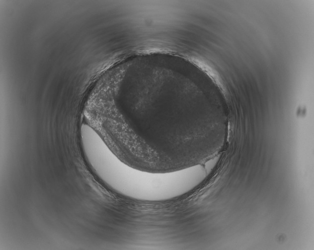 X0000094440401200711291641