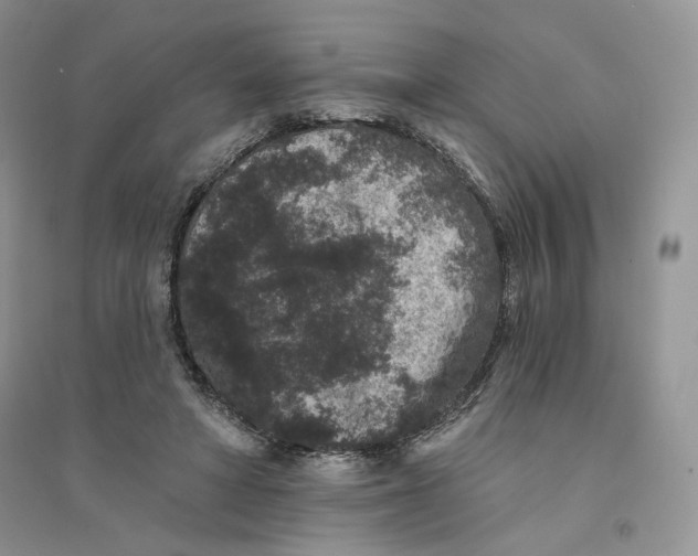 X0000094440402200711291641