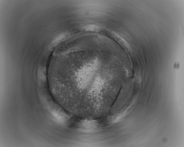 X0000094440403200711291641