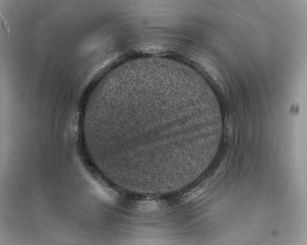 X0000094440404200711291641