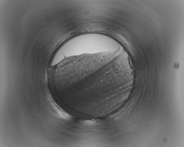 X0000094440405200711291641