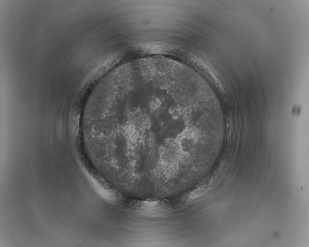 X0000094440406200711291641