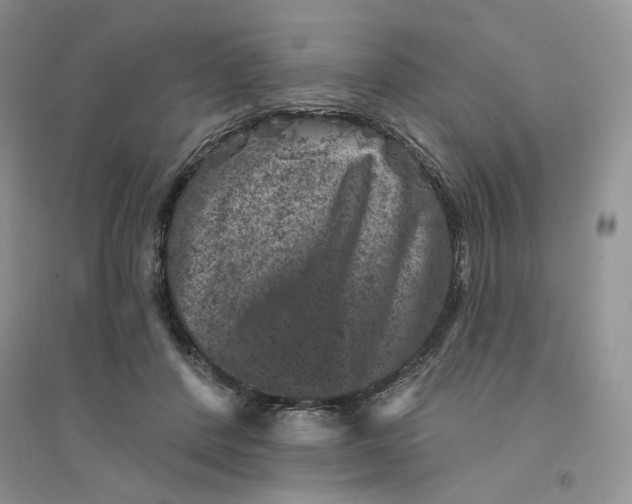 X0000094440408200711291641