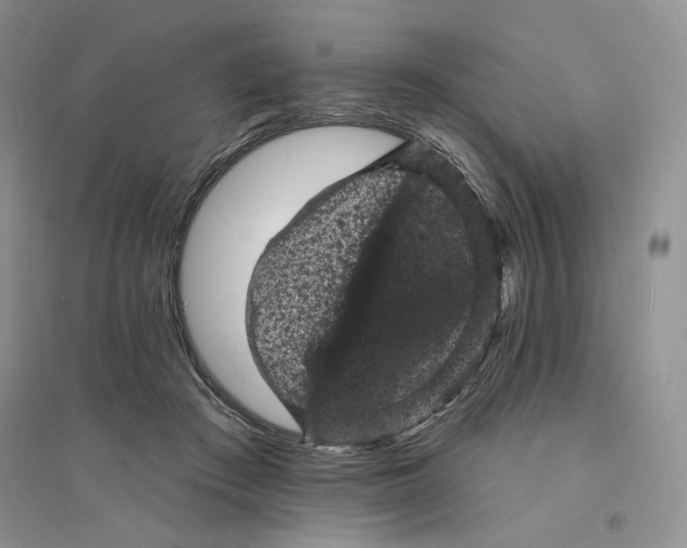 X0000094440409200711291641