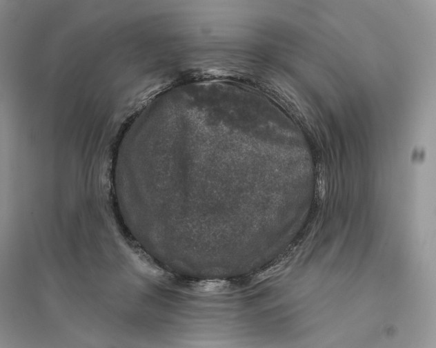 X0000094440410200711291641