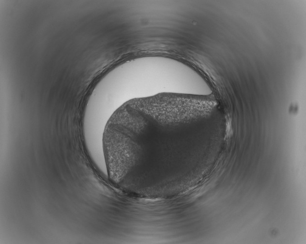 X0000094440411200711291641