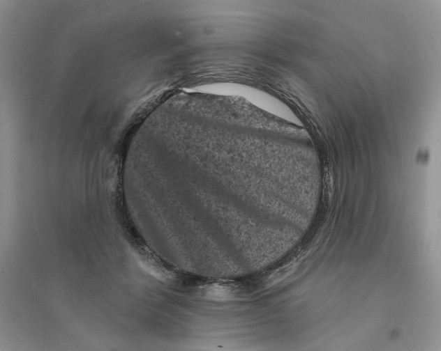 X0000094440412200711291641