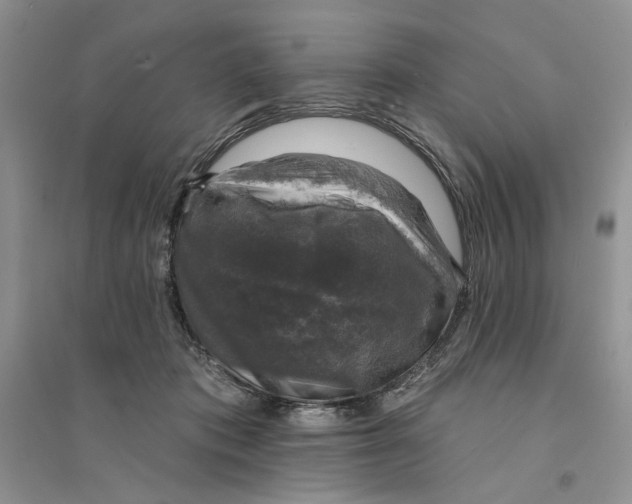 X0000094440413200711291641