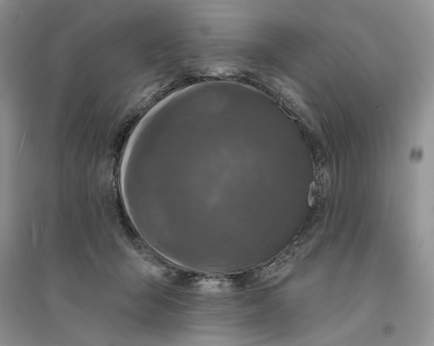 X0000094440415200711291641