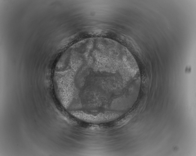 X0000094440416200711291641