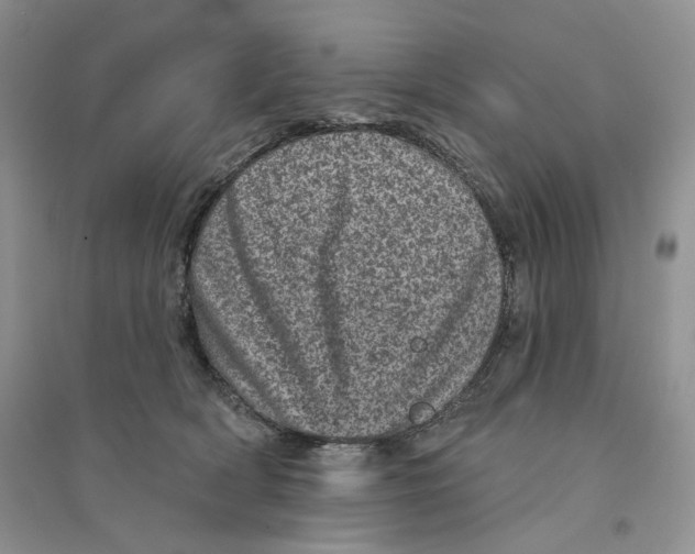 X0000094440418200711291641