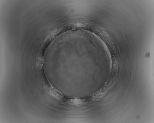 X0000094440419200711291641