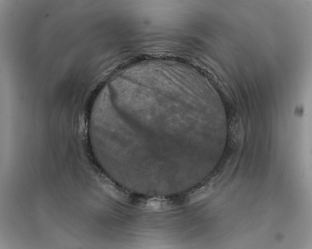 X0000094440420200711291641