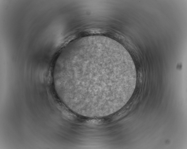 X0000094440422200711291641