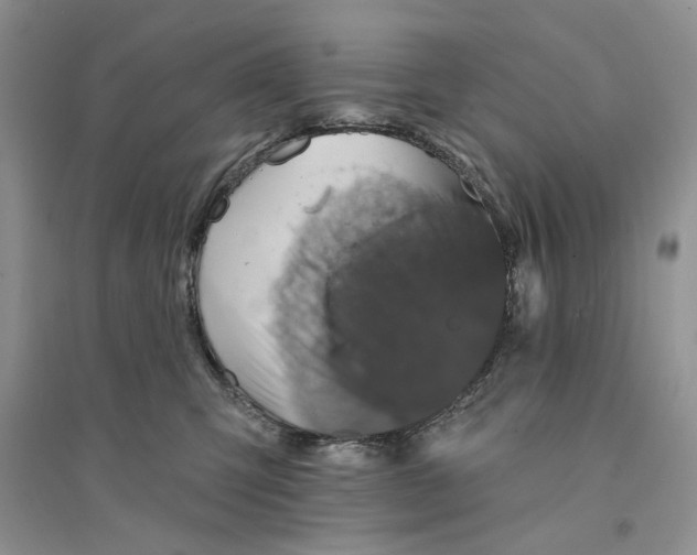 X0000094440423200711291641