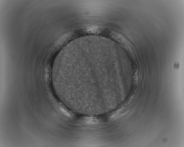 X0000094440424200711291641