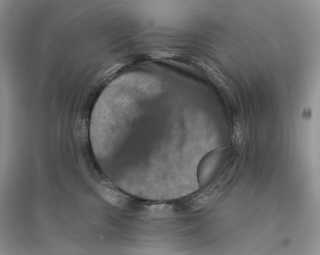 X0000094440426200711291641