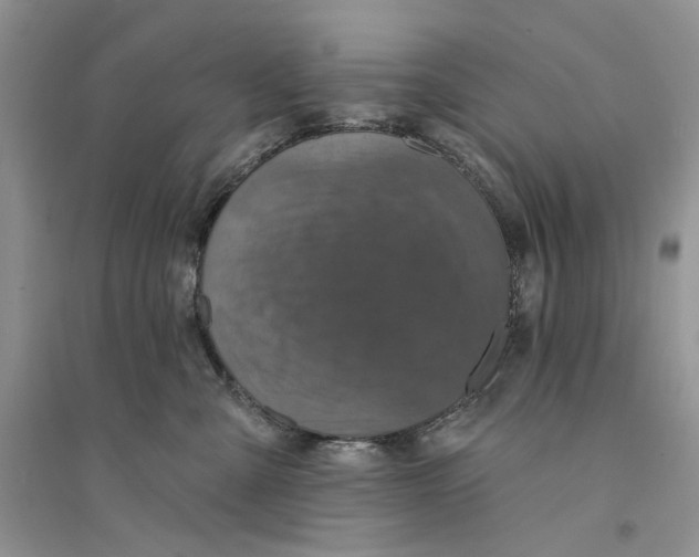 X0000094440427200711291641