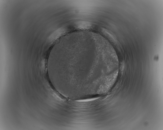 X0000094440428200711291641