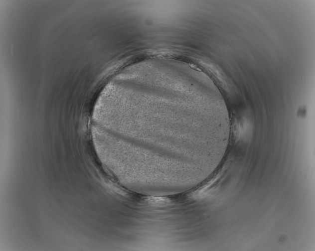 X0000094440429200711291641