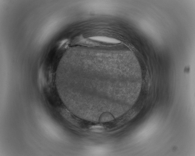 X0000094440430200711291641