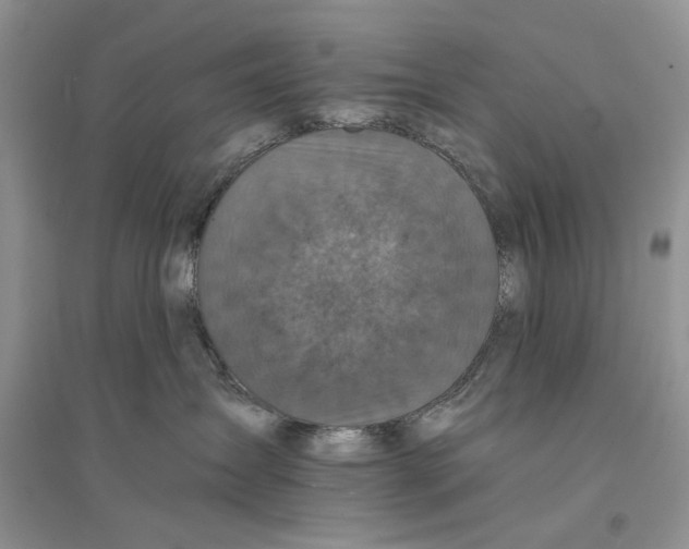 X0000094440431200711291641