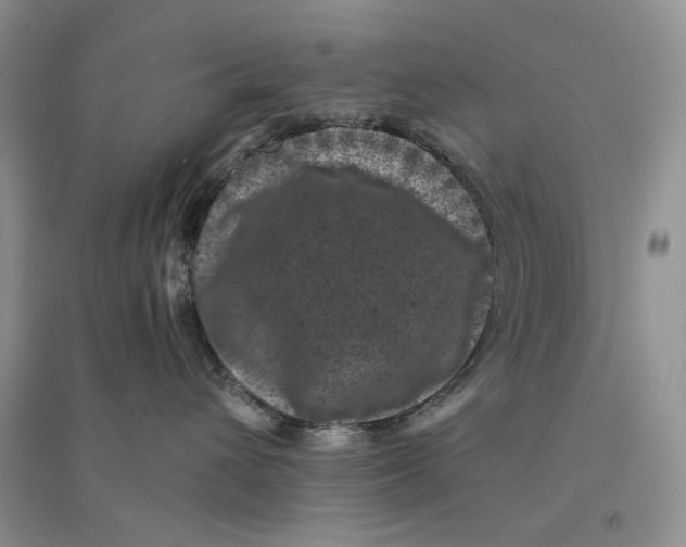 X0000094440432200711291641