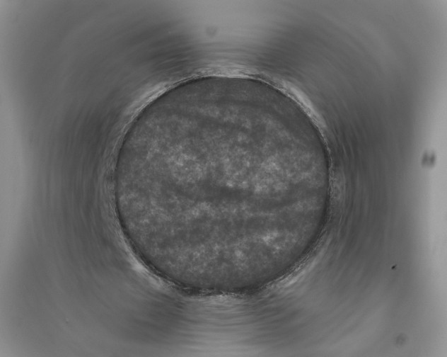 X0000094440433200711291640