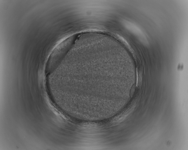 X0000094440435200711291640