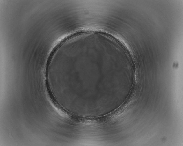 X0000094440438200711291640