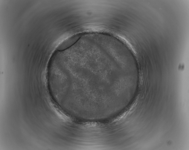 X0000094440439200711291640