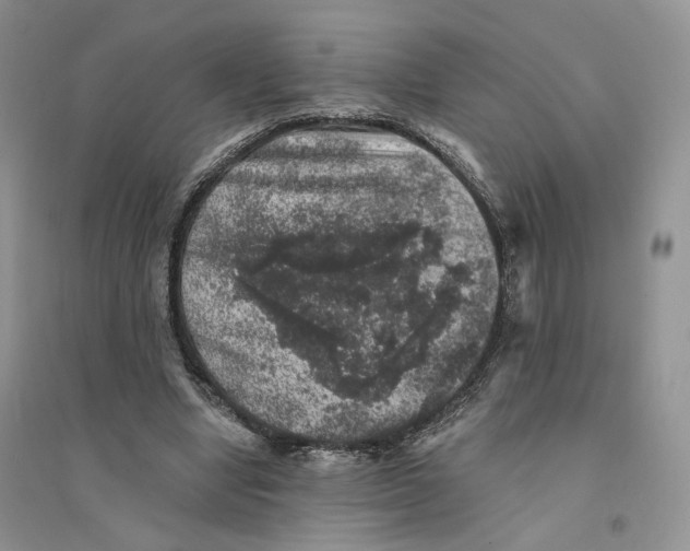 X0000094440442200711291640