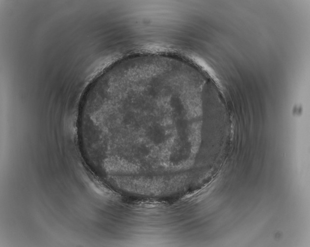 X0000094440443200711291640