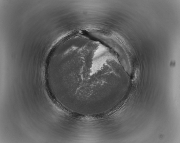 X0000094440444200711291640