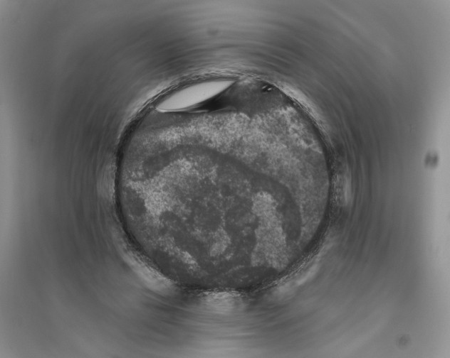 X0000094440446200711291640